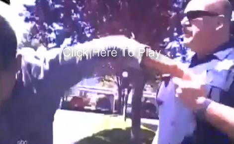 US Marine Police Officer “Biatch Slaps” US Army Reservist for Flexing on Him